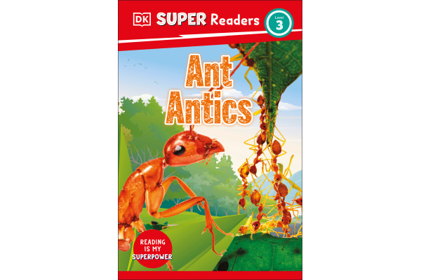 Ants, Bugs and Spiders