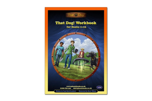 Synthetic Phonics Activity Books for Catch Up Readers